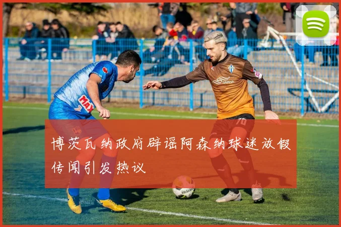 博茨瓦纳政府辟谣阿森纳球迷放假传闻引发热议